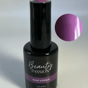 Violet d'Évêque - Vernis Semi Permanent nº16