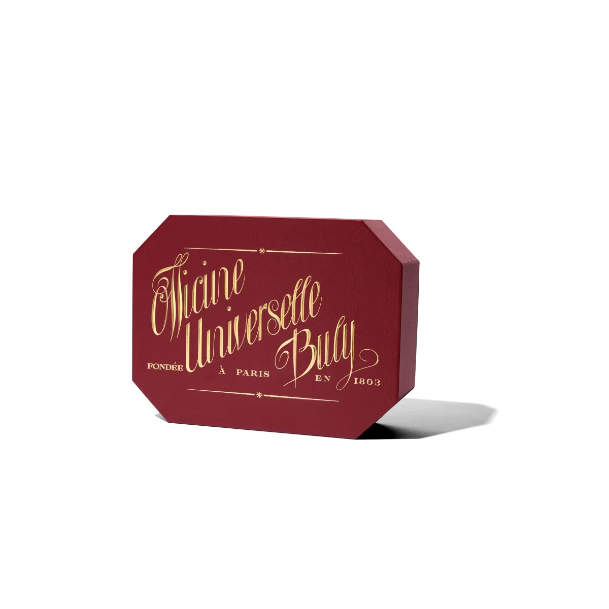 À la rosée matinale – Image 4